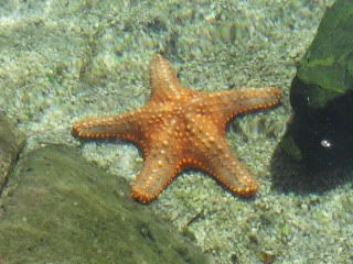 SDC12235.jpg
