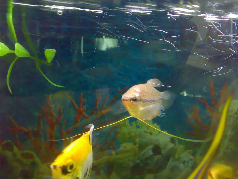 26062007338.jpg
