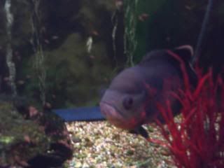 PICT0006.jpg