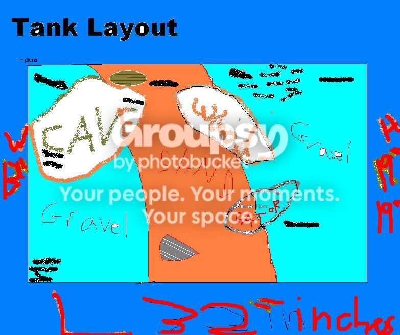 tank2.jpg