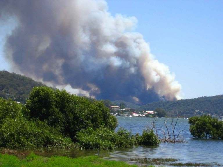fire2.jpg