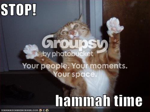 stop.jpg