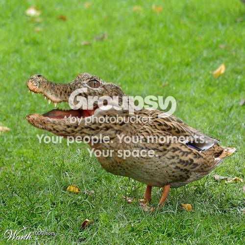 hilarious.jpg