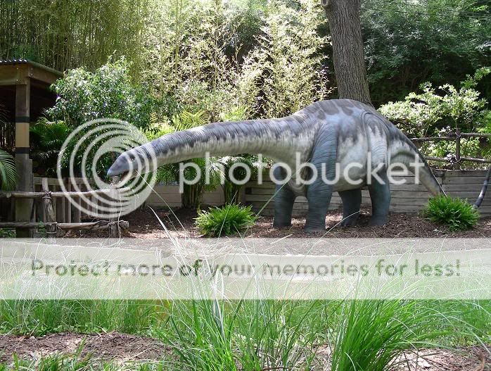 dino3.jpg
