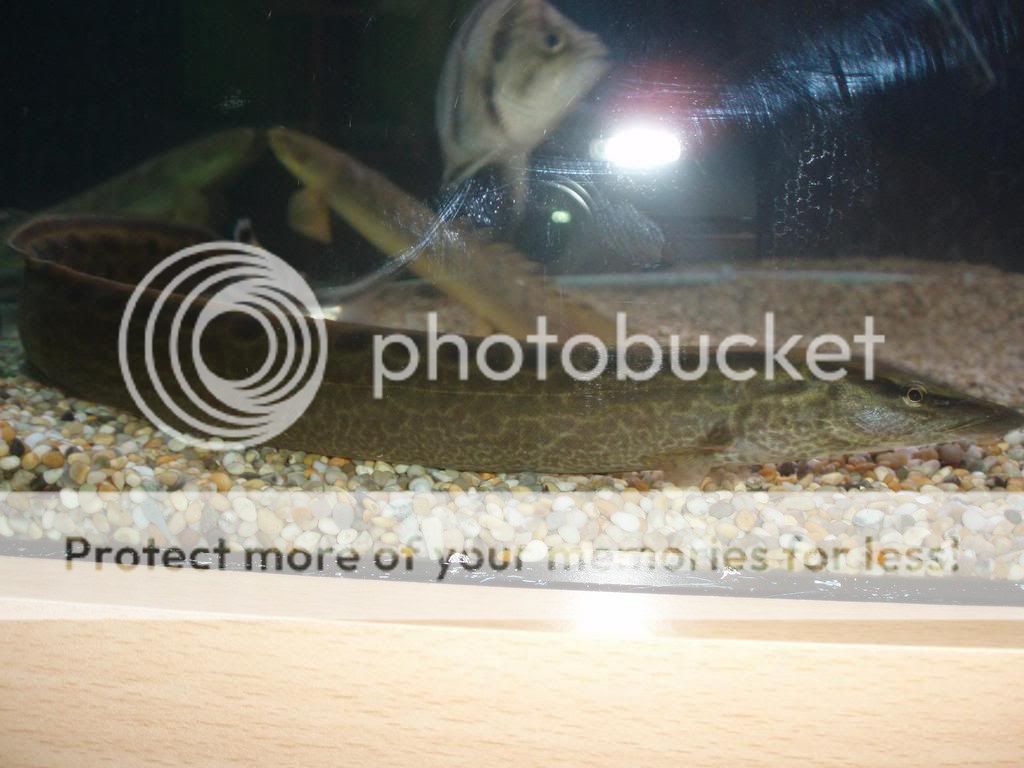 Picture084.jpg