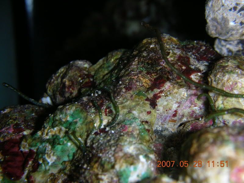 DSCN1761.jpg