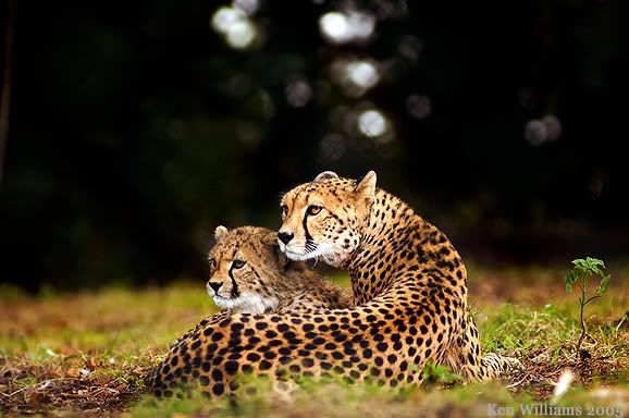 Fota029.jpg