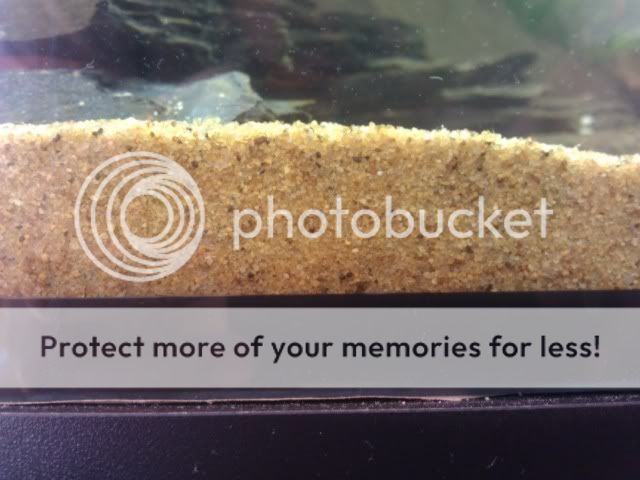 Sand.jpg