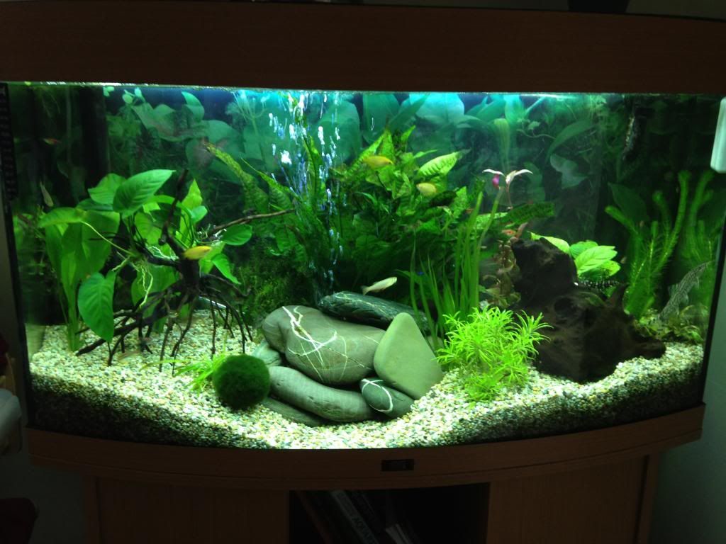 image-2_zpsdc6ff61d.jpg