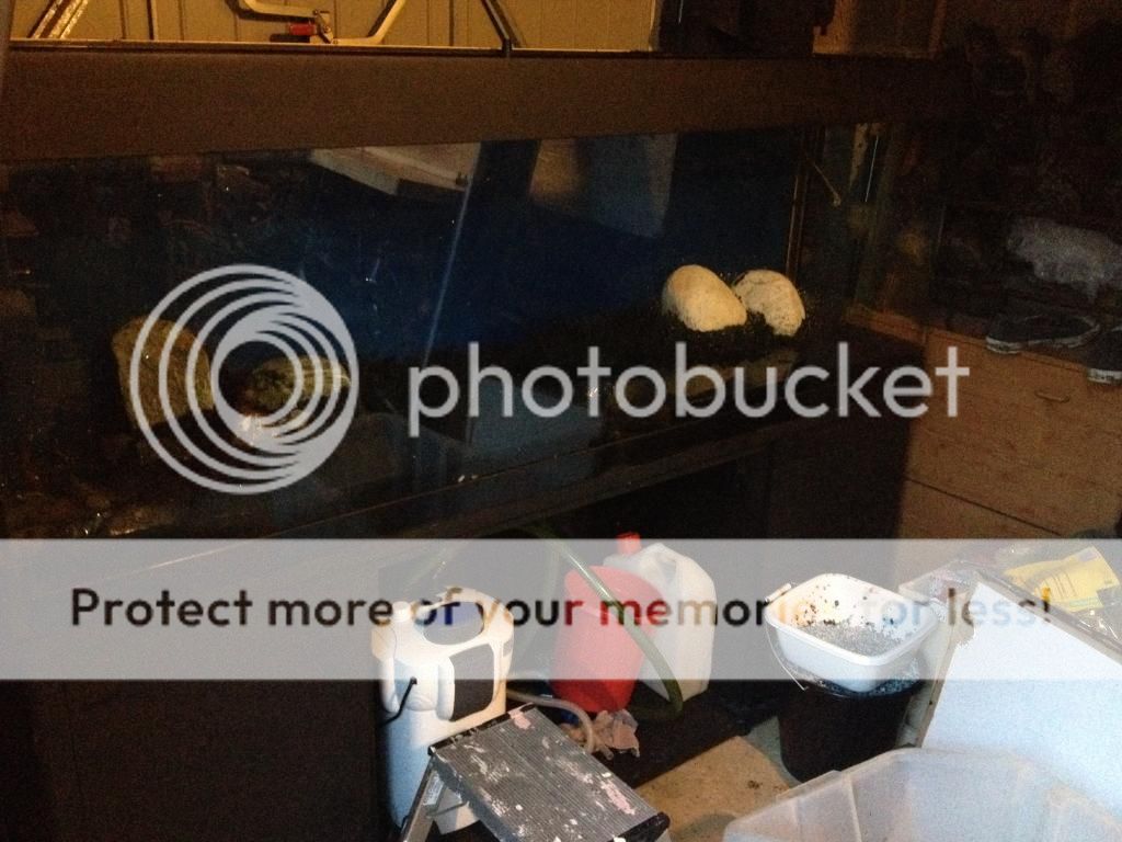 IMG_0745_zpse0c43011.jpg