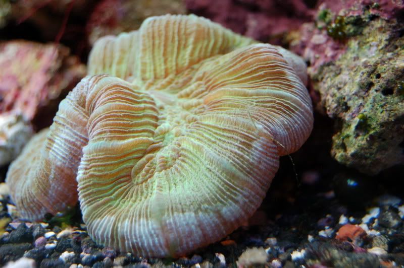 DSC_0049.jpg