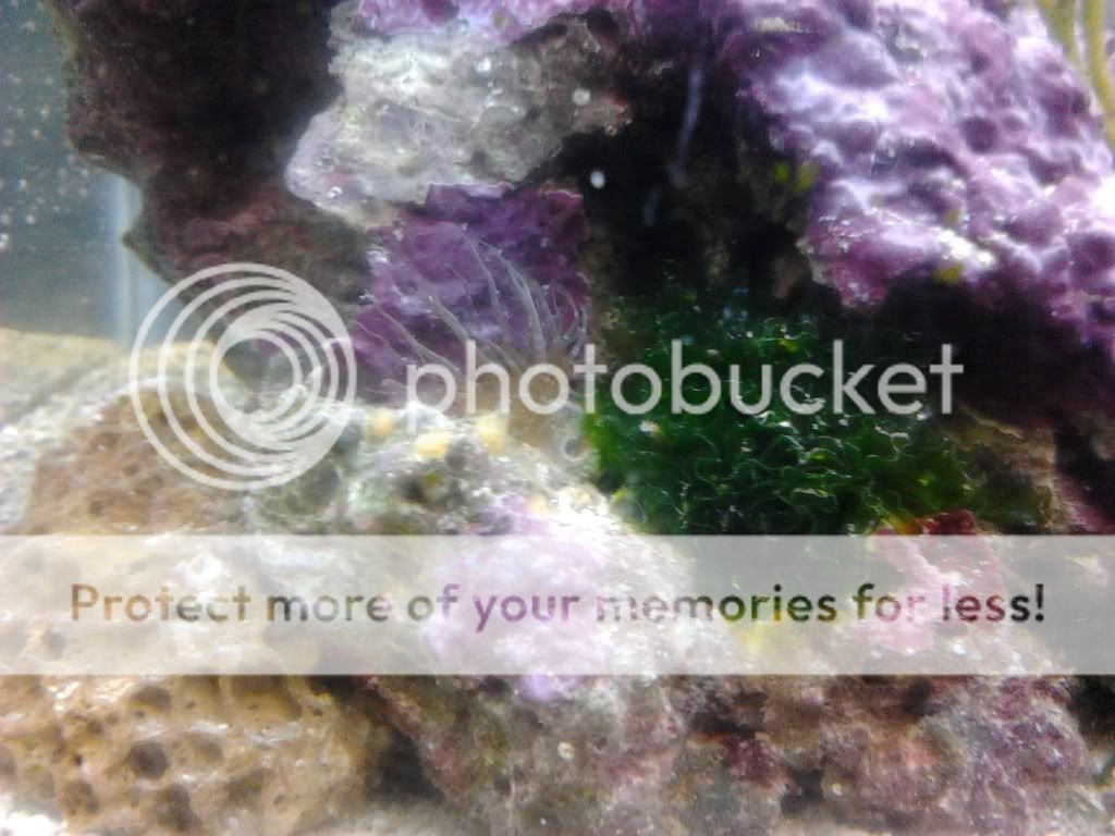 2012-03-29203454.jpg