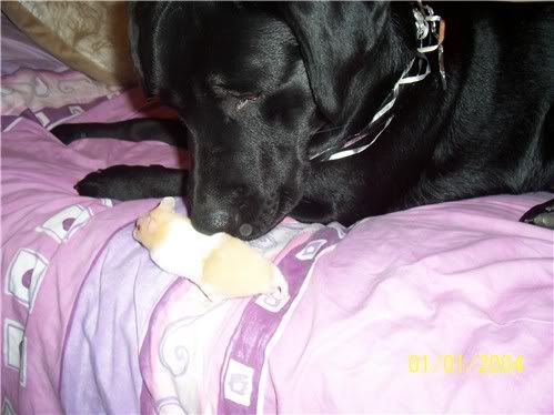 20060601ryes3.jpg