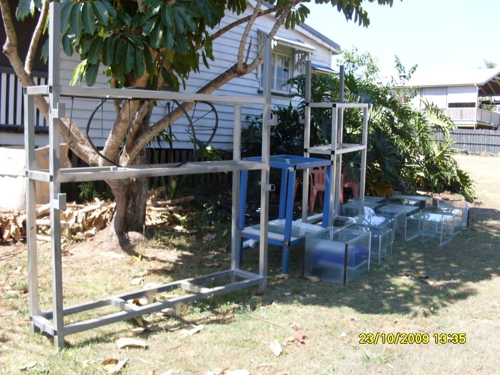 breedingsetupday1001.jpg