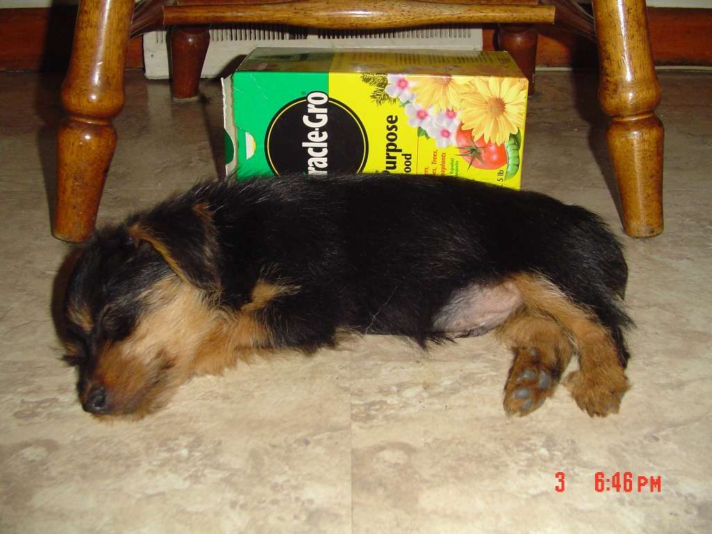 dsc016061vr2.jpg
