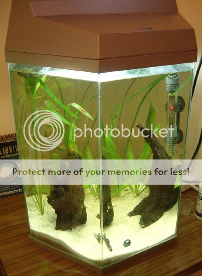 tank3.jpg