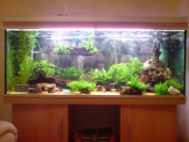 DSC000351.jpg