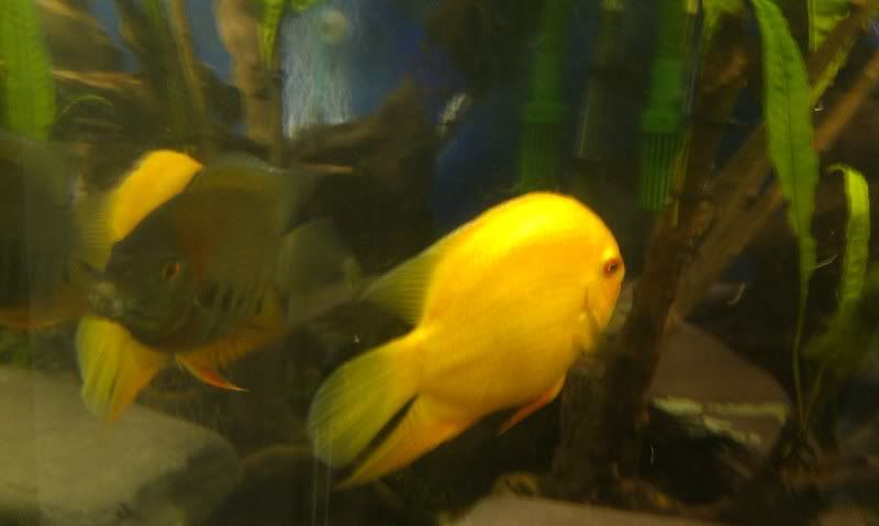 IMAG0840.jpg