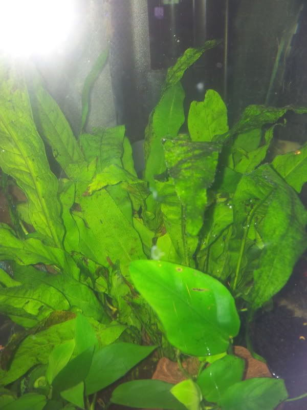 2011-11-20171228.jpg