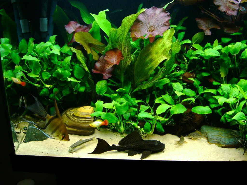 IMAG0029.jpg
