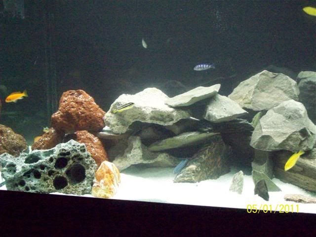 102_3639Small.jpg