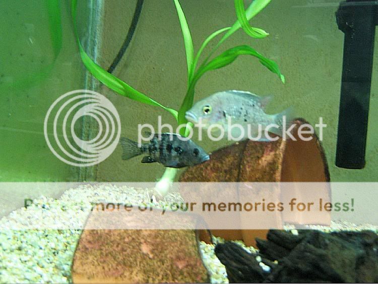 Picture025.jpg