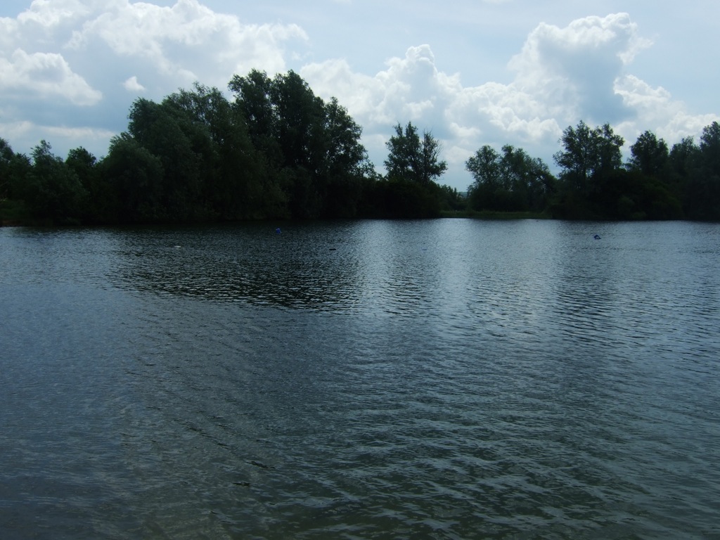 2621654865_652bbf31e5_o.jpg