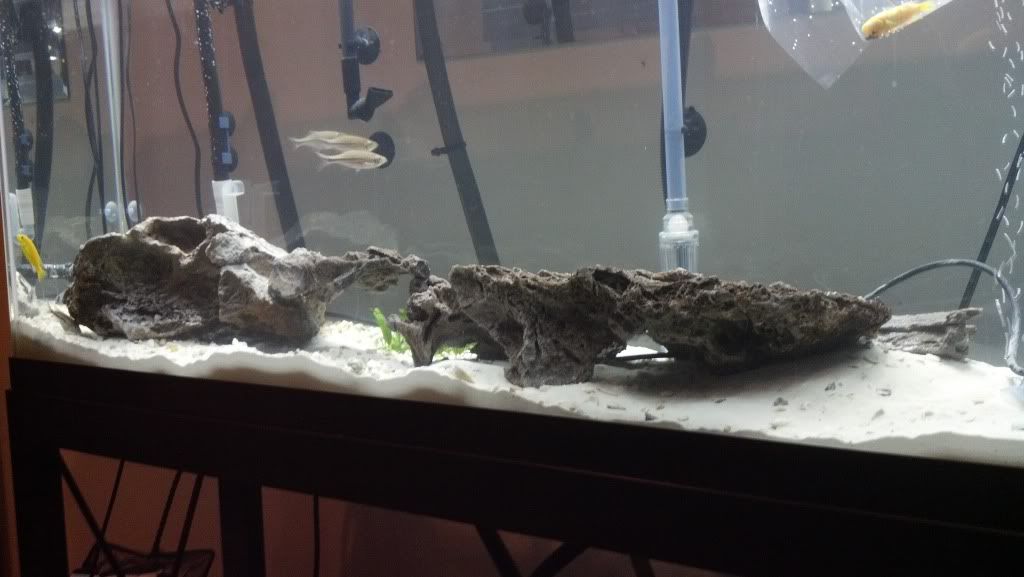 2012-04-07_23-29-31_47.jpg