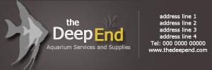 the-deepend-1.gif