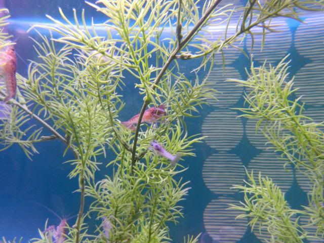 DSCN3975.jpg