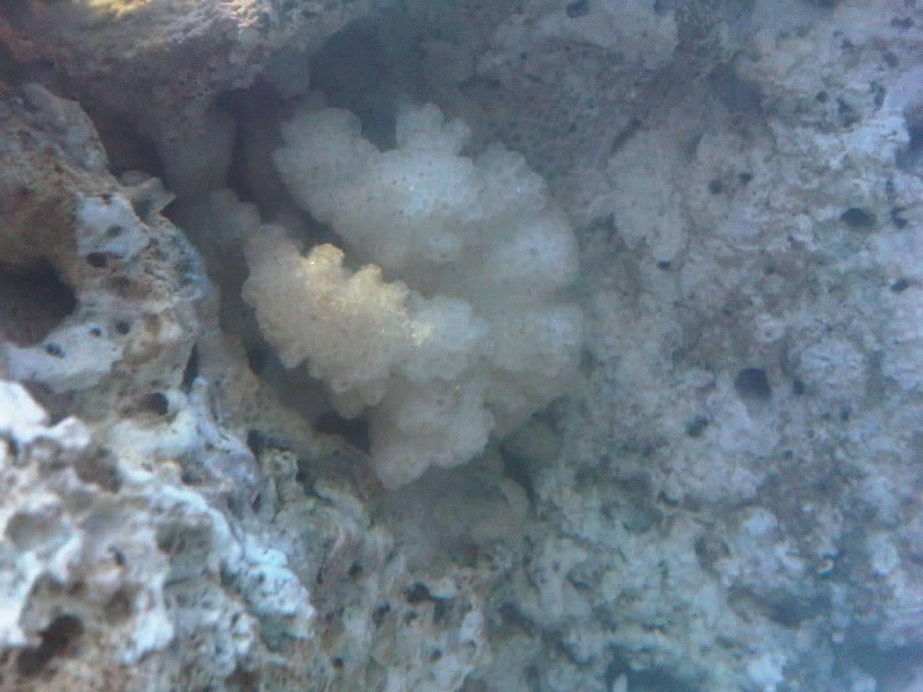 IMG00149-20110331-1823.jpg