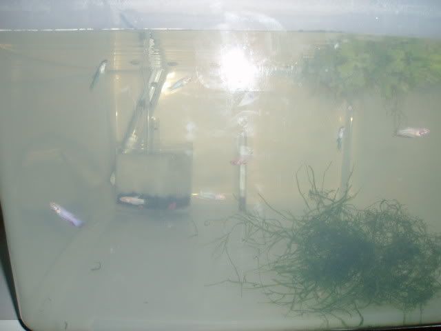 P9130004.jpg