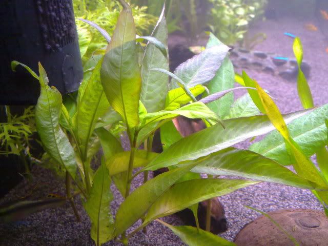 220620111160.jpg