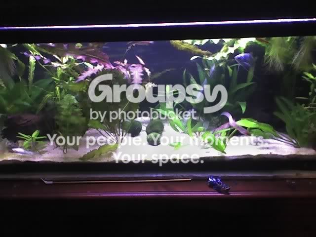 19-12-08_1724.jpg