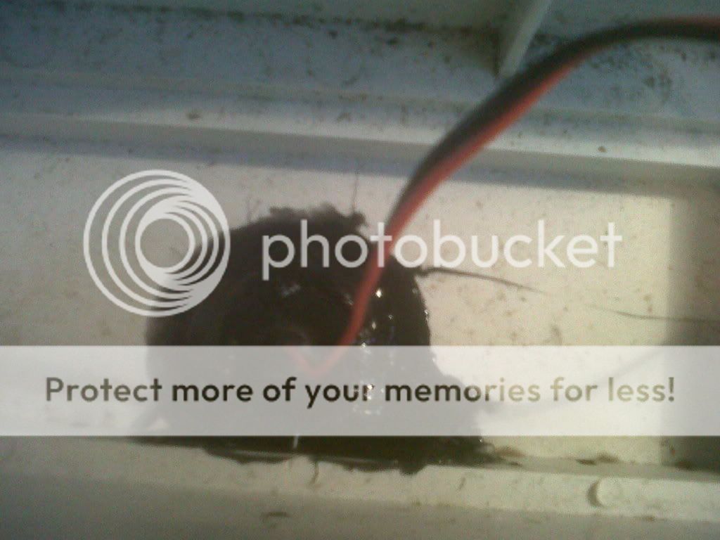 IMG00208-20110826-1728.jpg