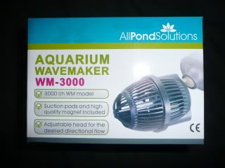 P1010299.jpg