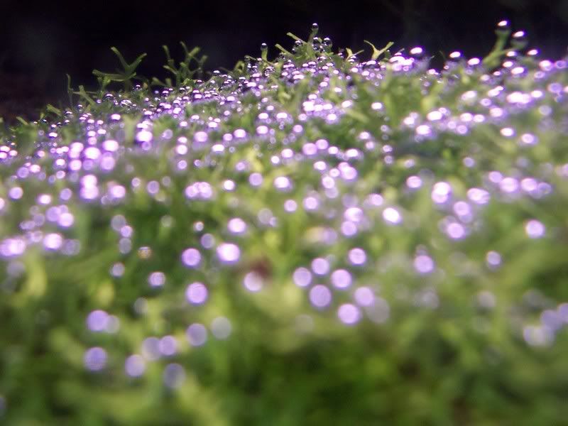 100_1537.jpg