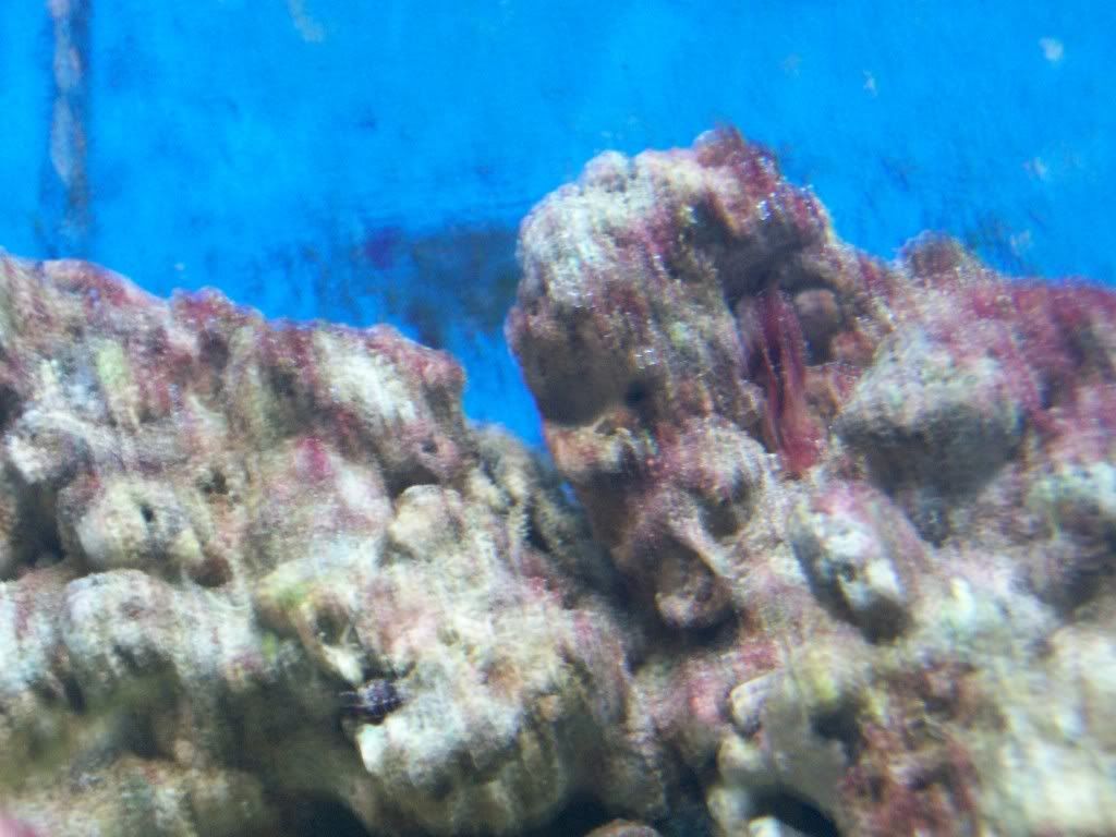 100_0680.jpg