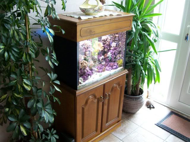 Picture020.jpg