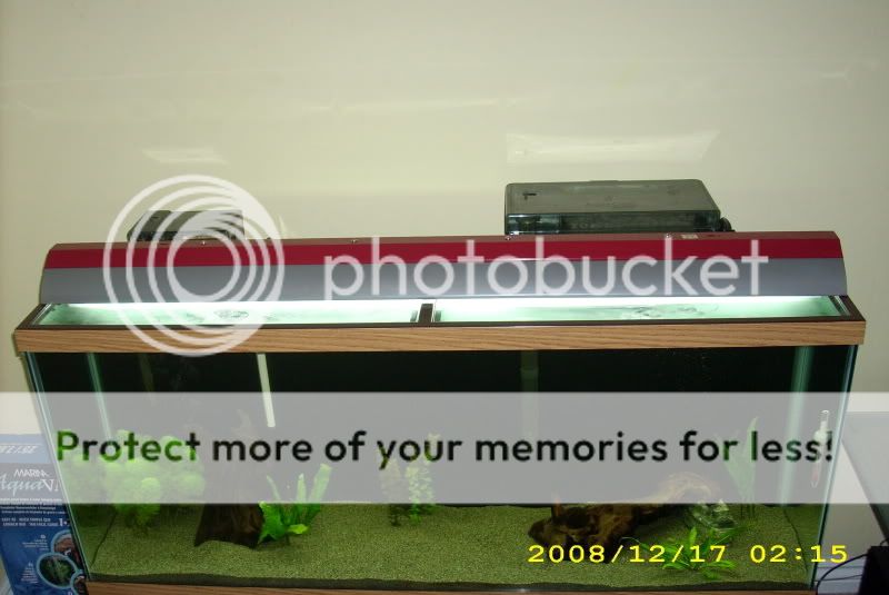 DSCI0164.jpg