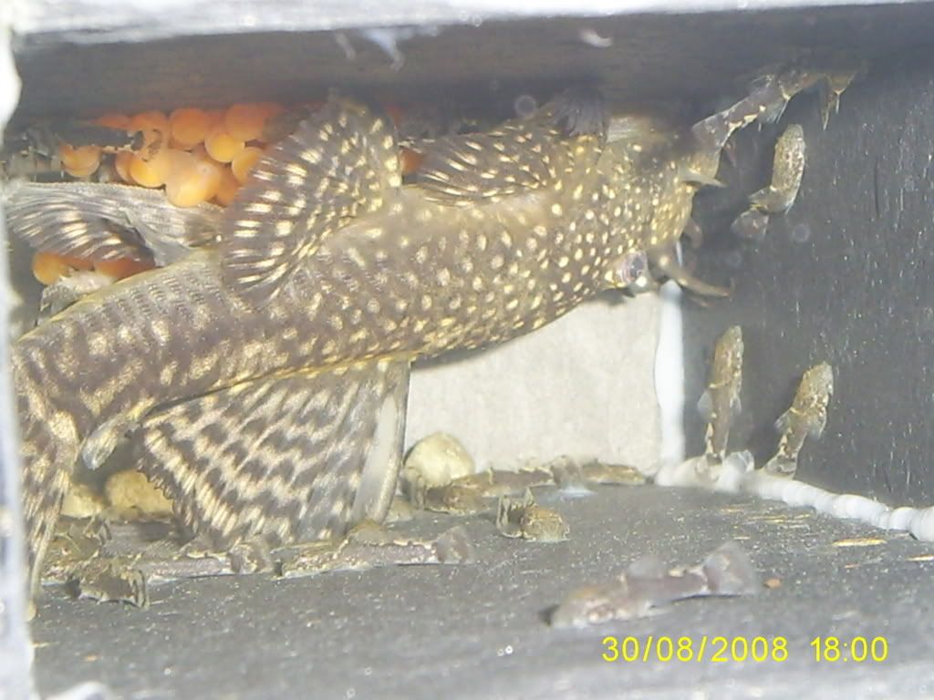 S5031435.jpg