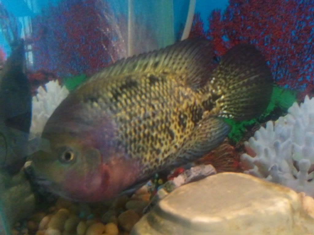 2011-08-17123109.jpg