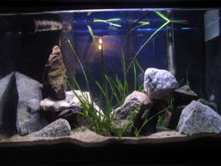 July19Aquarium002.jpg
