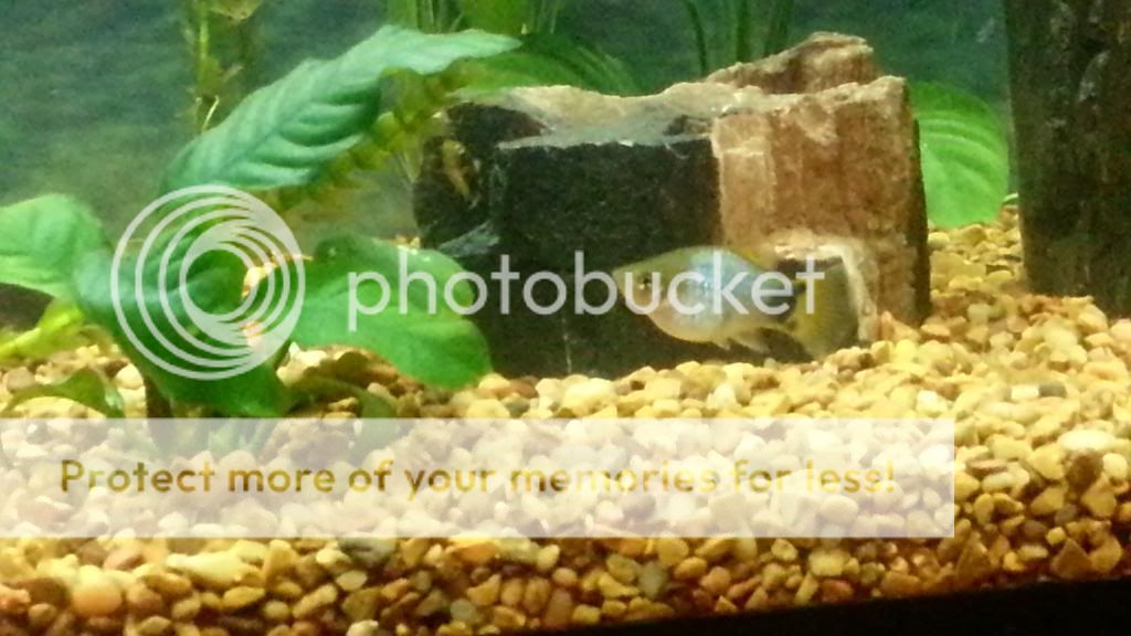 20121101_184239.jpg