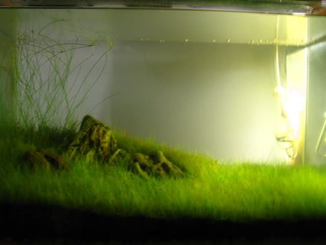 Picture001-14.jpg