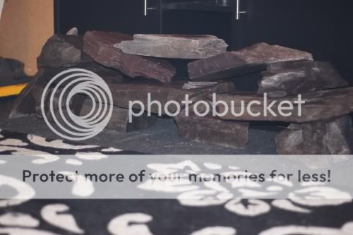 rocks.jpg
