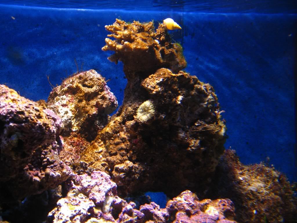 IMG_0454copy.jpg