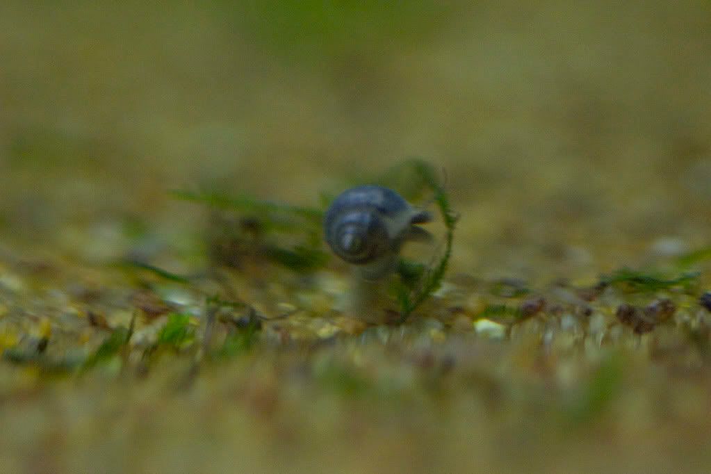 CRW_4095.jpg