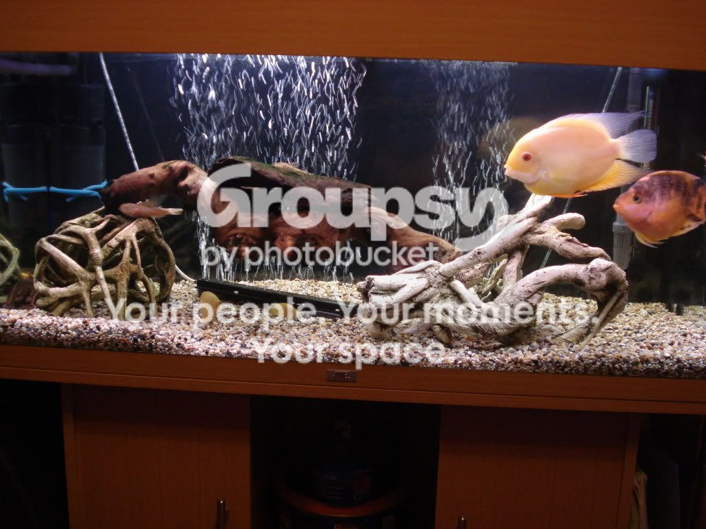 DSC00717.jpg