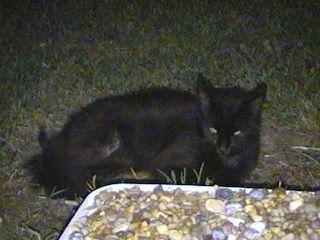 946036f0.jpg